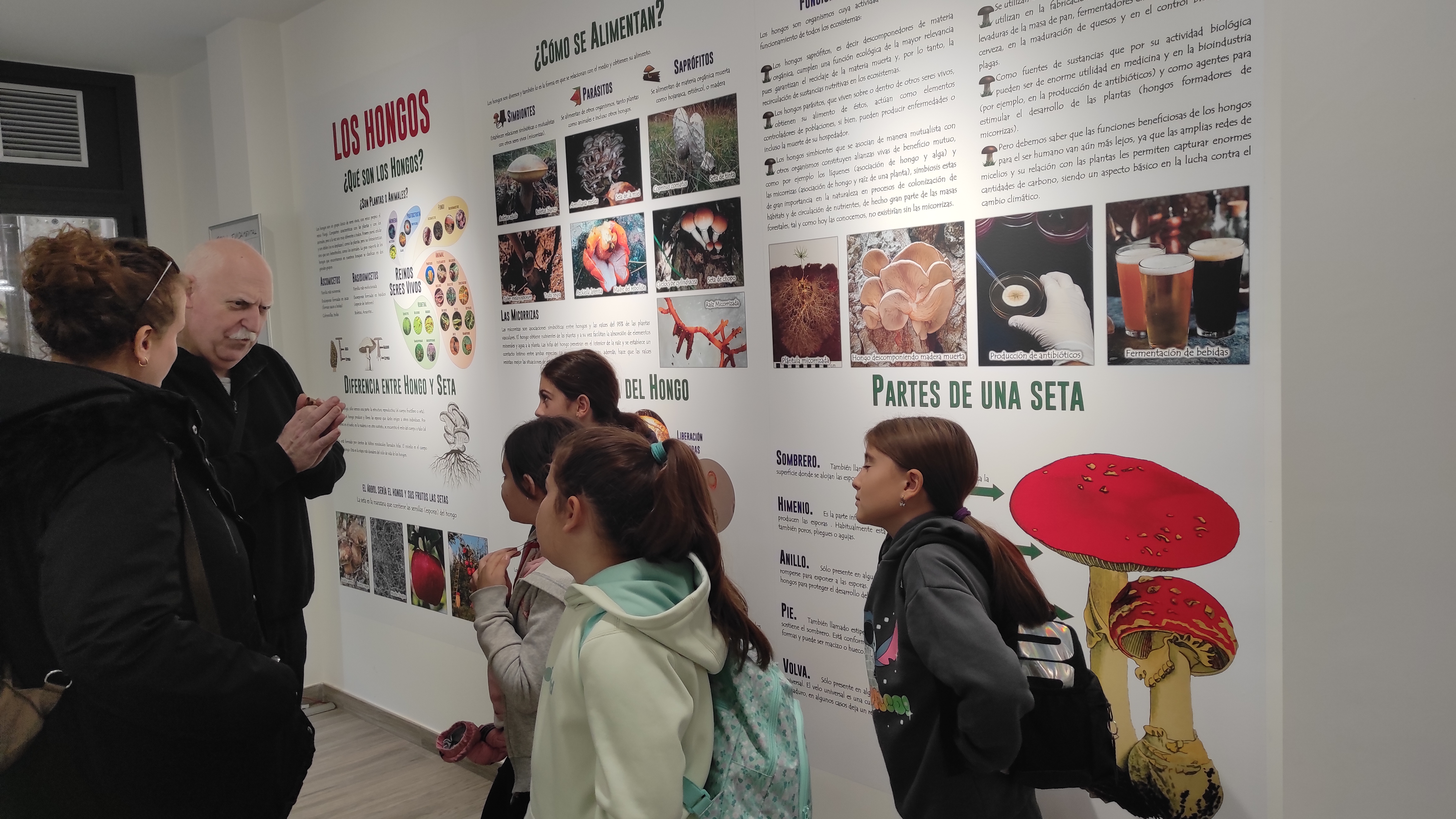 Copia de IMG_20251030_105233.jpg